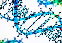 genetically modified microorganisms