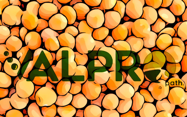 progetto di ricerca Valpro