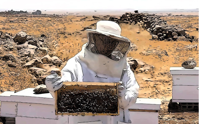 honey and biodiversity