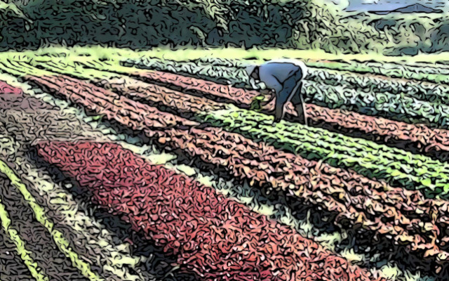 residui agricoltura biologica