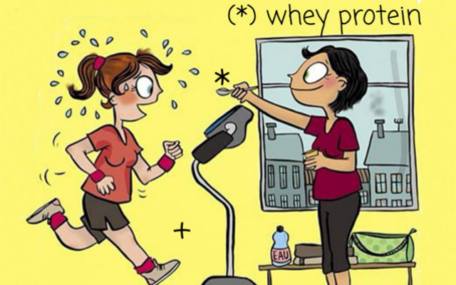 the role of proteins for muscles