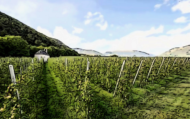 Organic, Vademecum on official investigations