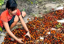 Corporate Sustainability Due Diligence