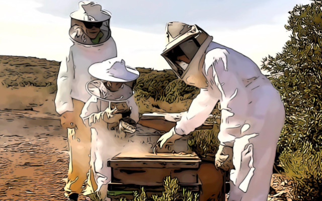 european funding for apiculture