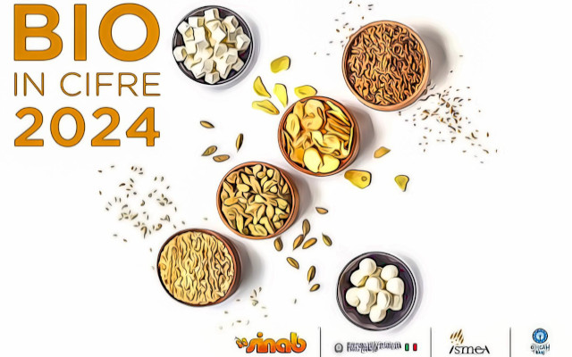 Organic farming trend in Italy in 2023.