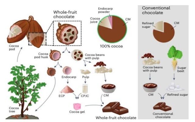 Chocolate from the whole cocoa fruit, with no added sugars