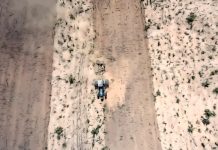 due diligence industrie carni in Germania