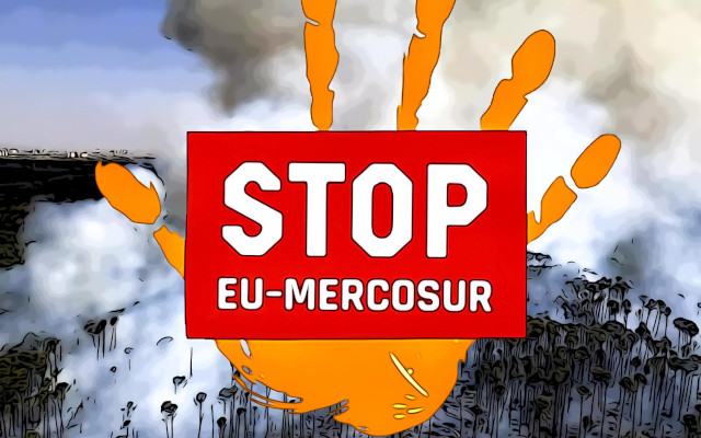 EU MERCOSUR