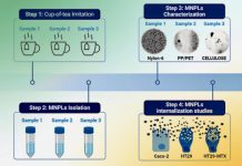 microplastiche nel tè