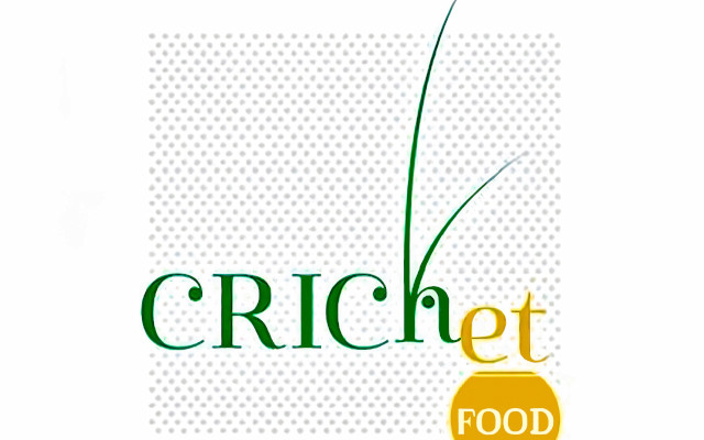 novel food