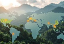 Food Times_EUDR_Deforestazione_Due-diligence