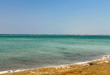 Food Times_low sodium_mineral_Dead Sea_salt