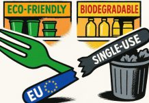 Food Times - reusable plastic tableware survey