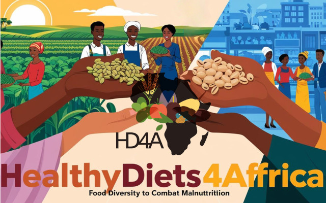Food_Times malnutrition Africa HD4A