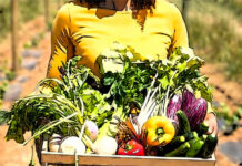 Food_Times_eliminating-syntethic-pesticides