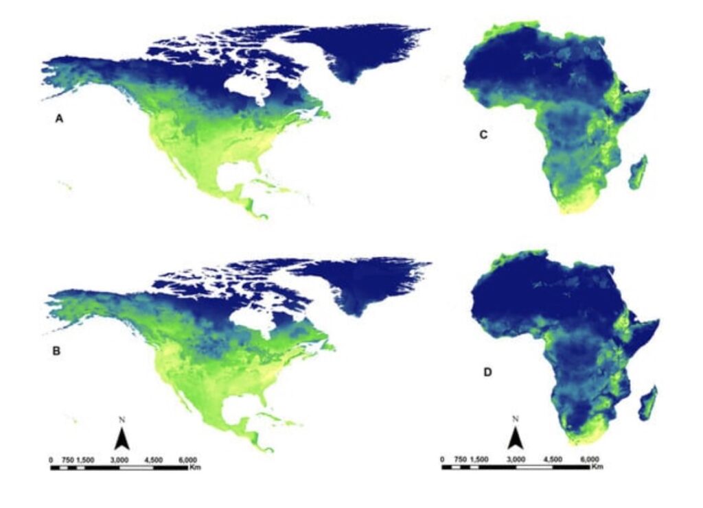 World Bee Day prevision