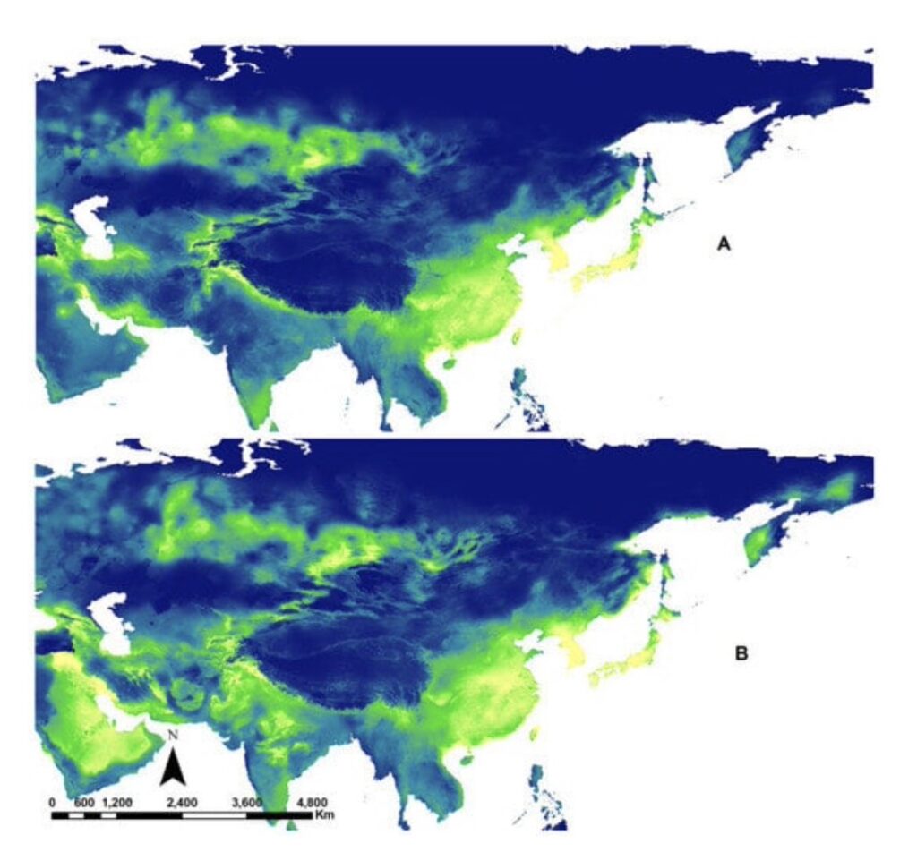 World Bee Day previsions