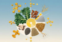 FoodTimes_vegetariani linee guida ANSES