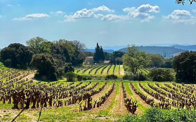 Food Times_Multiple-agroecological-practices-vs-conventional-farming