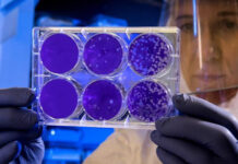 Food Times_Listeria monocytogenes