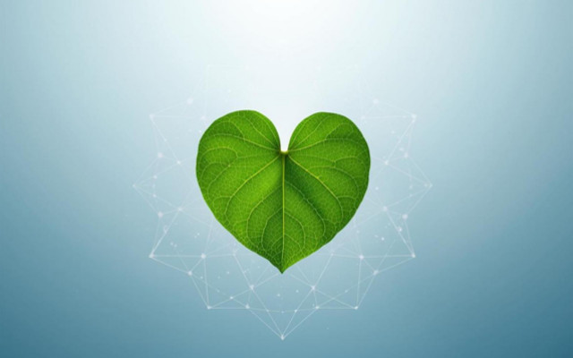 Food Times_EU_Safe Hearts Plan