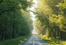 Food Times - EUDR - Deforestation Regulation re-engineered