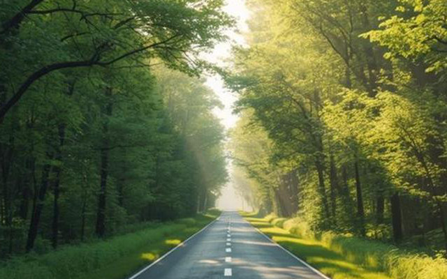 Food Times - EUDR - Deforestation Regulation re-engineered