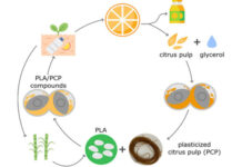 Food Times_scarti arancia bioplastiche sostenibili