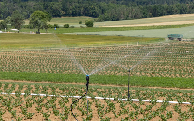 Food Times_agricoltura-biologica-roadmap-ue