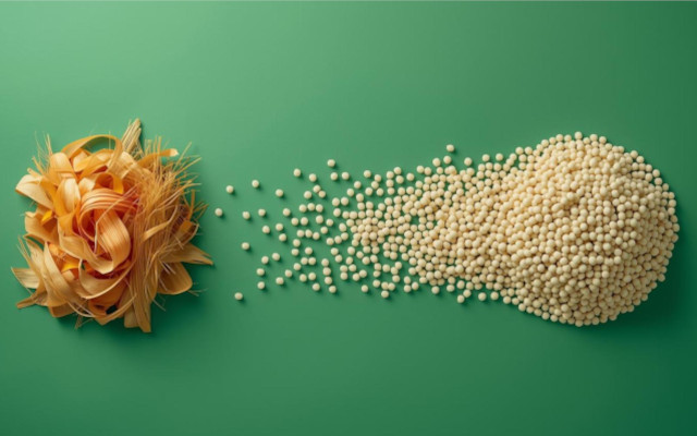 Food Times_From Food Waste to Bioplastics