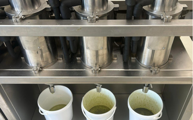 Food Times_olive_pomace_upcycling