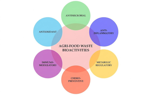 upcycling coprodotti agro alimentari in composti bioattivi