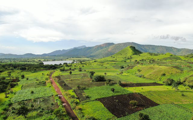 Il cerchio magico di Coldiretti verso Africa e Asia