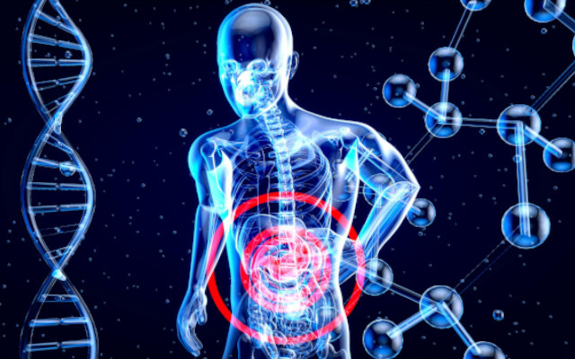 Gut microbiota and the oxidative stress prevention