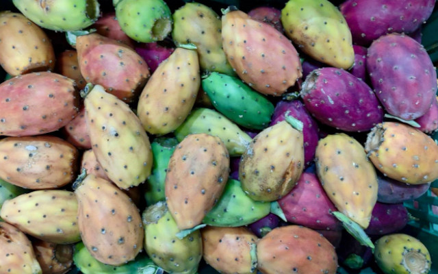 Natural preservatives: it’s time for the prickly pear